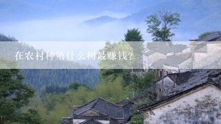 在农村种殖什么树最赚钱？