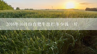 2016年10月份育肥牛出栏多少钱一斤