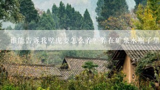 谁能告诉我壁虎要怎么养？养在矿泉水瓶子里会不会死掉？