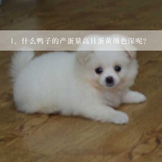 什么鸭子的产蛋量高且蛋黄颜色深呢？