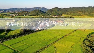 我想种植药材，不知道种什么保回收的？