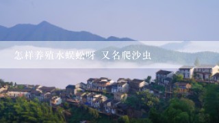 怎样养殖水蜈蚣呀 又名爬沙虫