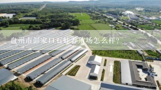 盘州市彭家口石蛙养殖场怎么样？