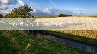 土元养殖技术 人工怎样养殖土元