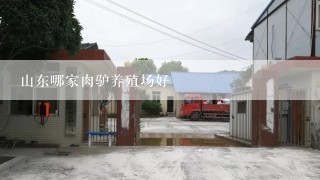 山东哪家肉驴养殖场好