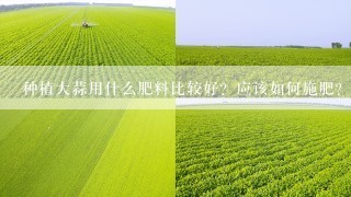 种植大蒜用什么肥料比较好？应该如何施肥？