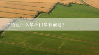 养殖业什么最冷门最有前途？