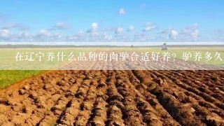 在辽宁养什么品种的肉驴合适好养？驴养多久出栏可以卖？一头活驴可卖多少钱？