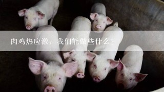 肉鸡热应激，我们能做些什么？