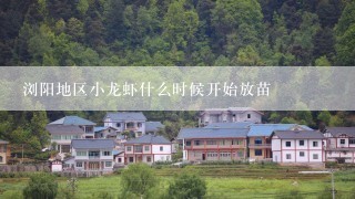 浏阳地区小龙虾什么时候开始放苗