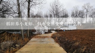 稻田养小龙虾，但水变黑变臭用什么药