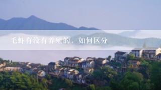 毛虾有没有养殖的，如何区分