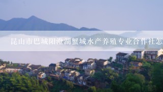 昆山市巴城阳澄湖蟹城水产养殖专业合作社怎么样？