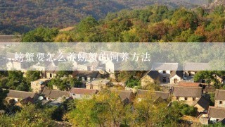 螃蟹要怎么养螃蟹的饲养方法