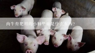 肉牛育肥用的小料里面是什么东西？