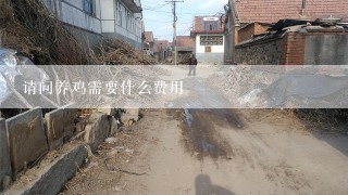 请问养鸡需要什么费用