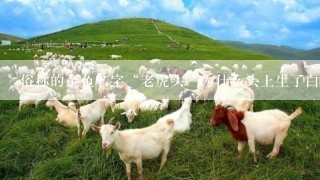 俗称的金鱼名字“老虎头”为什么头上生了白色的东西？是什么病吗