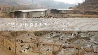 养殖泥鳅投资多少钱