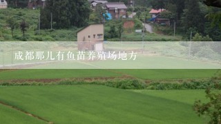 成都那儿有鱼苗养殖场地方