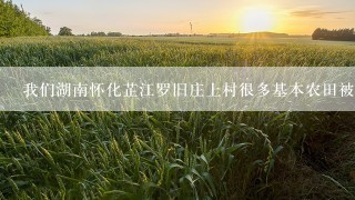 我们湖南怀化芷江罗旧庄上村很多基本农田被养了龙虾怎么办？