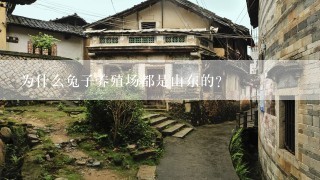 为什么兔子养殖场都是山东的?