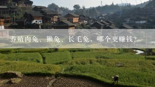 养殖肉兔、獭兔、长毛兔，哪个更赚钱?