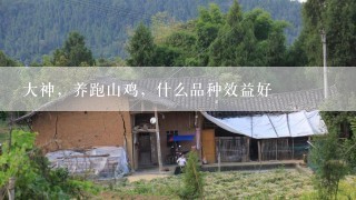 大神，养跑山鸡，什么品种效益好