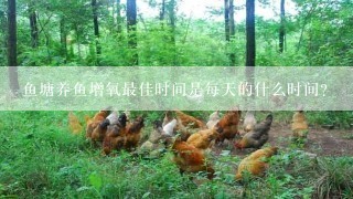 鱼塘养鱼增氧最佳时间是每天的什么时间？