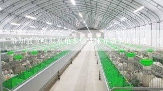 谁知道黄喉拟水龟多层立体养殖架的修建，及材料。