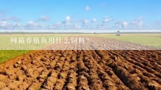 网箱养殖鱼用什么饲料?