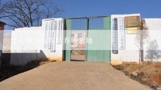 什么地方有青蛙养殖基地