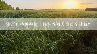 能否在特种种植、特种养殖方面给个建议？