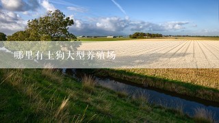 哪里有土狗大型养殖场