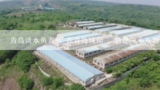 青岛淡水鱼养殖 在青岛城阳 ，新建一小鱼塘，需要0.5-1斤的淡水鱼，请问青岛周边有没有提供淡水鱼的地方？