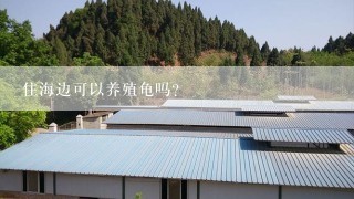 住海边可以养殖龟吗?