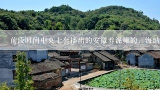 前段时间中央七套播出的安徽养泥鳅的，海纳百川水参养殖场，我忘记是哪一天播出的了，现在想找出重新看看