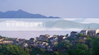 野生鹧鸪怎么驯养？