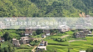 河北省隆尧县的土元养殖场在哪