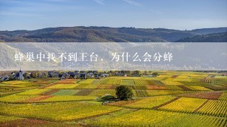 蜂巢中找不到王台，为什么会分蜂