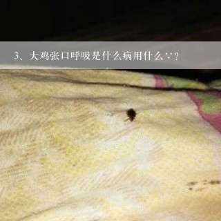 大鸡张口呼吸是什么病用什么∵？