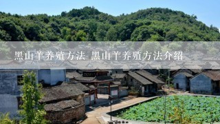 黑山羊养殖方法 黑山羊养殖方法介绍