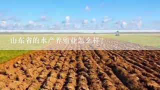 山东省的水产养殖业怎么样?