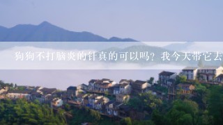 狗狗不打脑炎的针真的可以吗？我今天带它去打针，宠物店的人说打不打都一样，是真的吗？