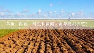 草鱼，鲤鱼，鲫鱼和黄鳝，泥鳅能混养殖？