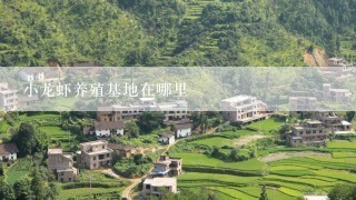 小龙虾养殖基地在哪里