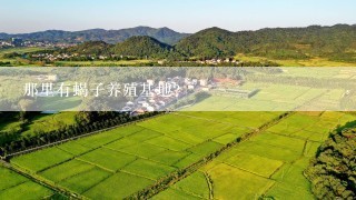 那里有蝎子养殖基地？