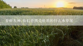 养虾大神.你们养黑壳虾用的什么水草泥