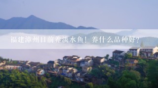 福建漳州目前养淡水鱼！养什么品种好？