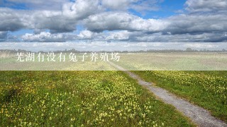 芜湖有没有兔子养殖场