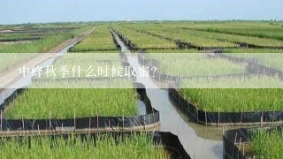 中蜂秋季什么时候取蜜？